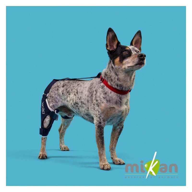 Genouillère pour animaux Balto