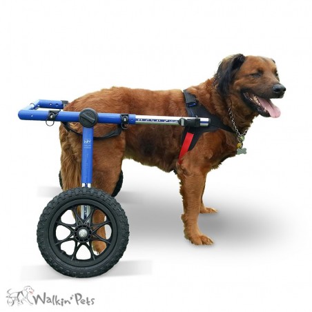 Harnais avant pour chariot roulant Walkin Wheels Harnais avant pour chariot roulant Walkin Wheels