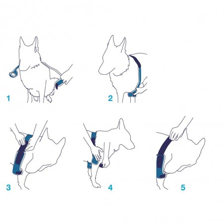 Coudière attelle du coude chien et chat Balto Mikan