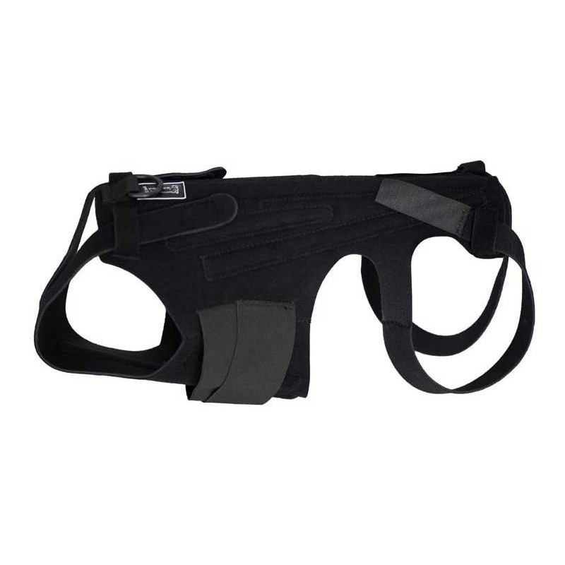 Ceinture dorsale pour chiens et chats hernie lombaire