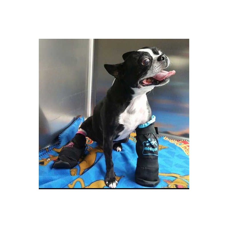 Bottine de protection plaies pansements pattes chats et chien mikan