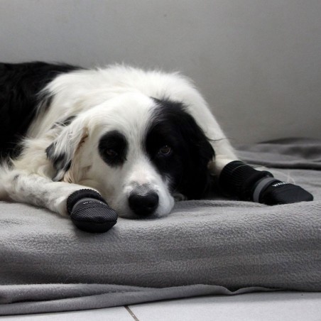 Chaussons de protection chien anti-glisse pour intérieur Mikan