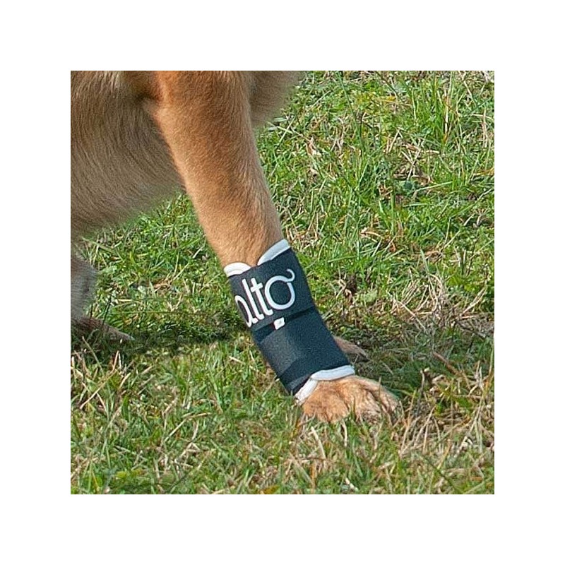 Attelle rigide immobilisante du carpe pour chien chats Balto Mikan