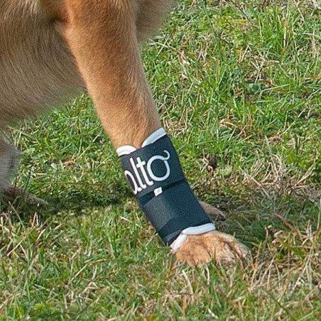 Attelle rigide immobilisante du carpe pour chien chats Balto Mikan