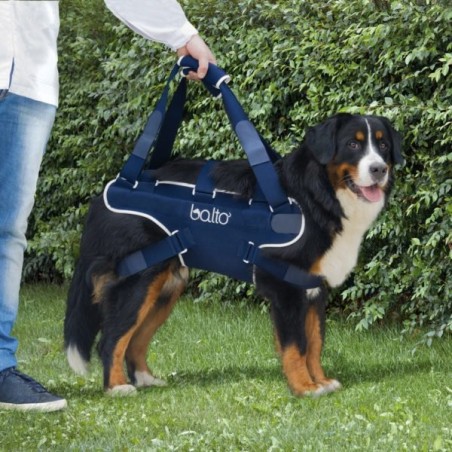 HARNAIS DE LEVAGE POUR CHIEN - PATTES AVANT et ARRIÈRE - 100% AJUSTABLE