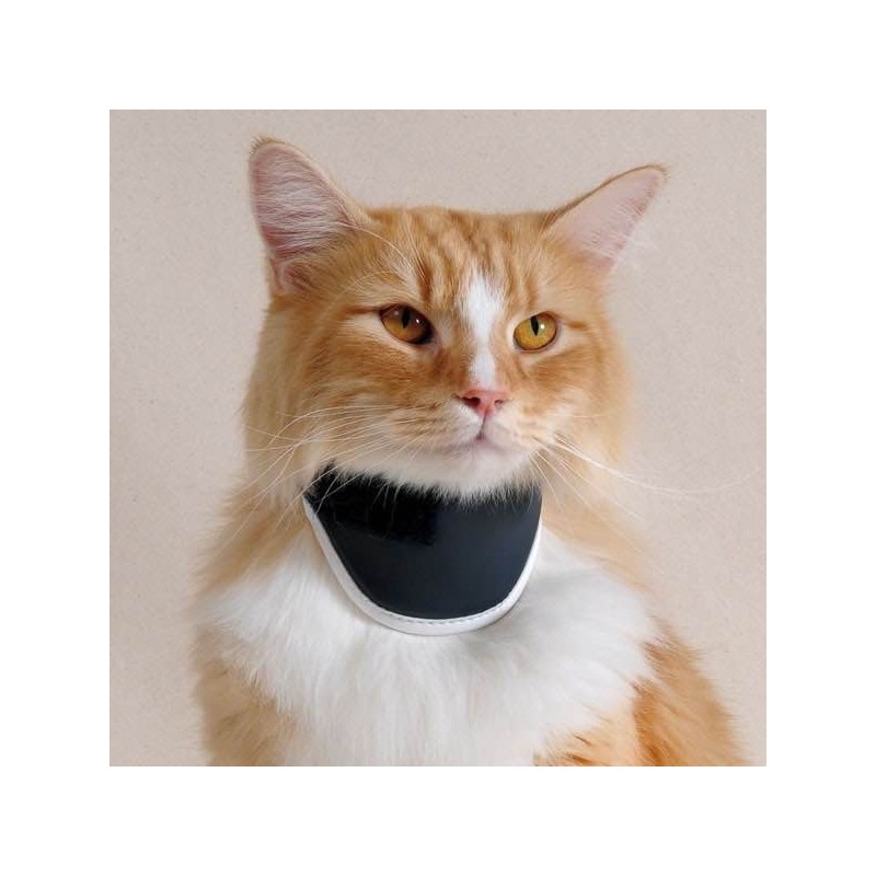 Minerve rigide pour chien chat Balto mikan