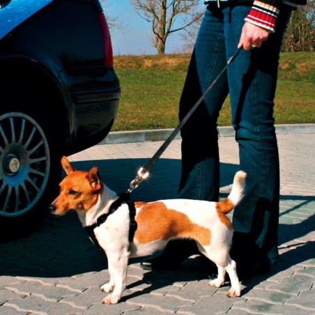 Laisse de sécurité voiture chien chats mikan 