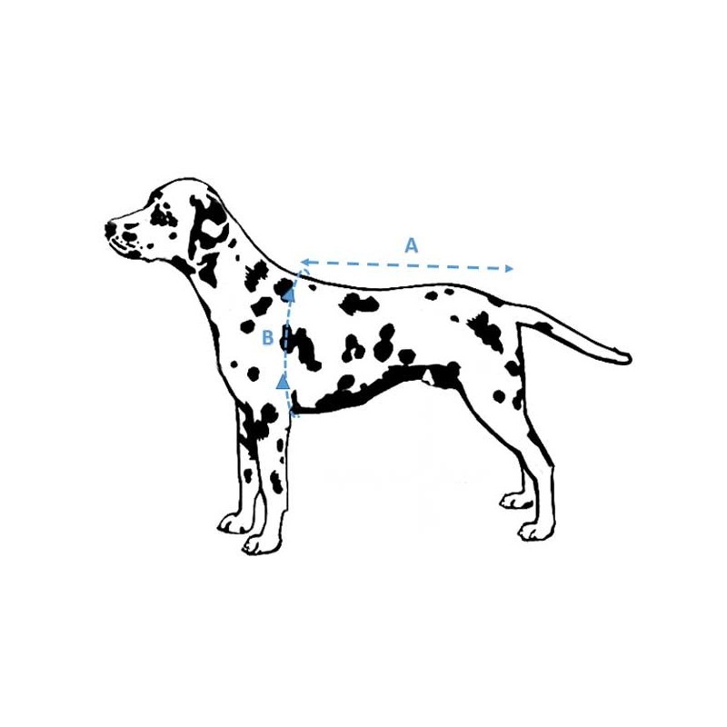 gilet de sauvetage pour chien et chat gilet flottabilité gilet de sauvetage pour chien et chat gilet flottabilité