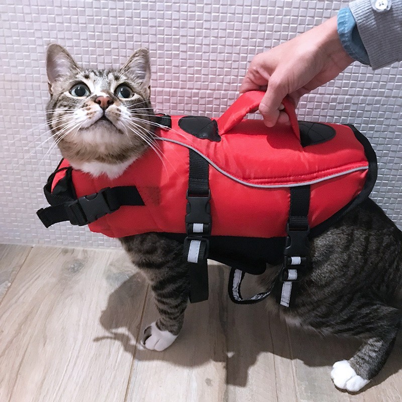 gilet de sauvetage pour chien et chat gilet flottabilité gilet de sauvetage pour chien et chat gilet flottabilité