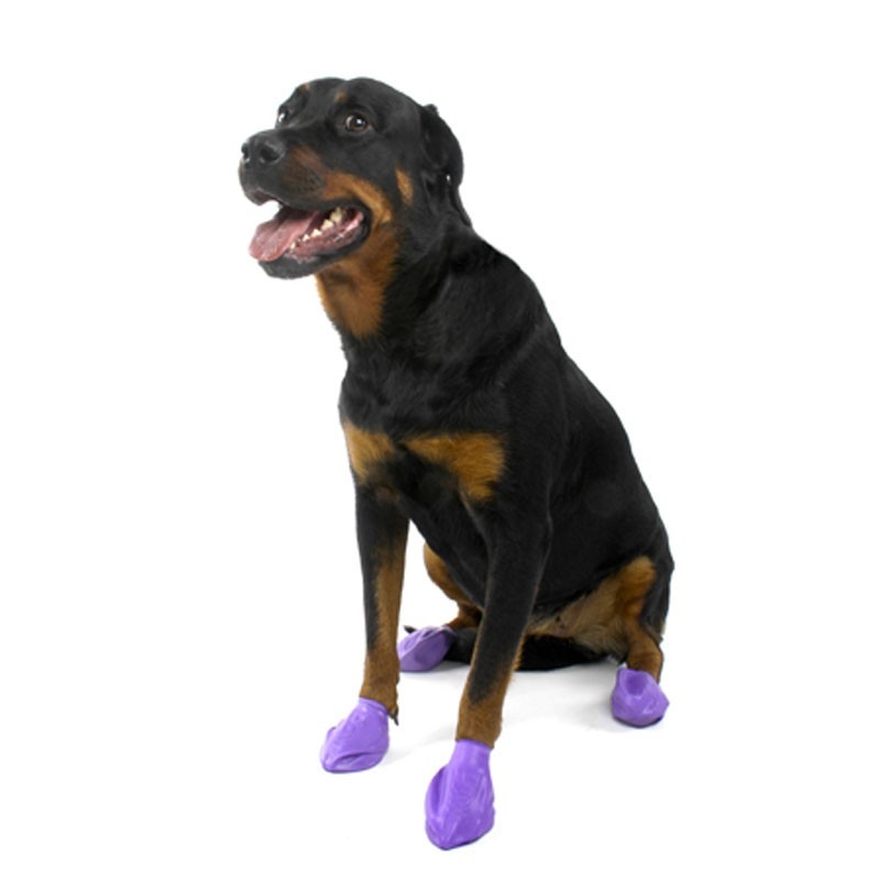 chaussure-pour-chien-pawz.jpg
