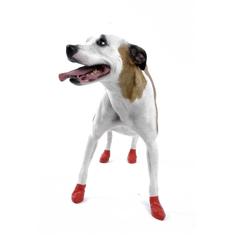 chaussure-pour-chien-pawz.jpg