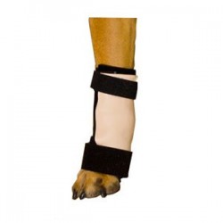 Carposplint kit : attelle pour chien immobilisante – patte avant