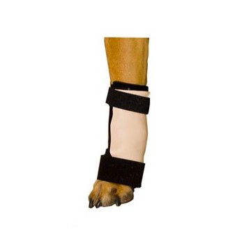 Carposplint kit : attelle pour chien immobilisante – patte avant