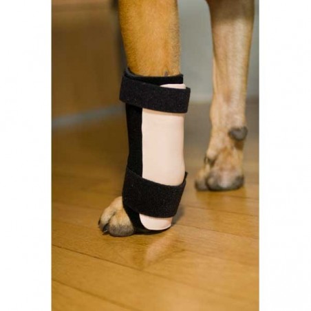 Carposplint kit : attelle pour chien immobilisante – patte avant