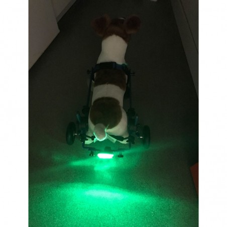 Lumière signalisation sécurité chariot roulant chien chat Walkin Wheels Mikan