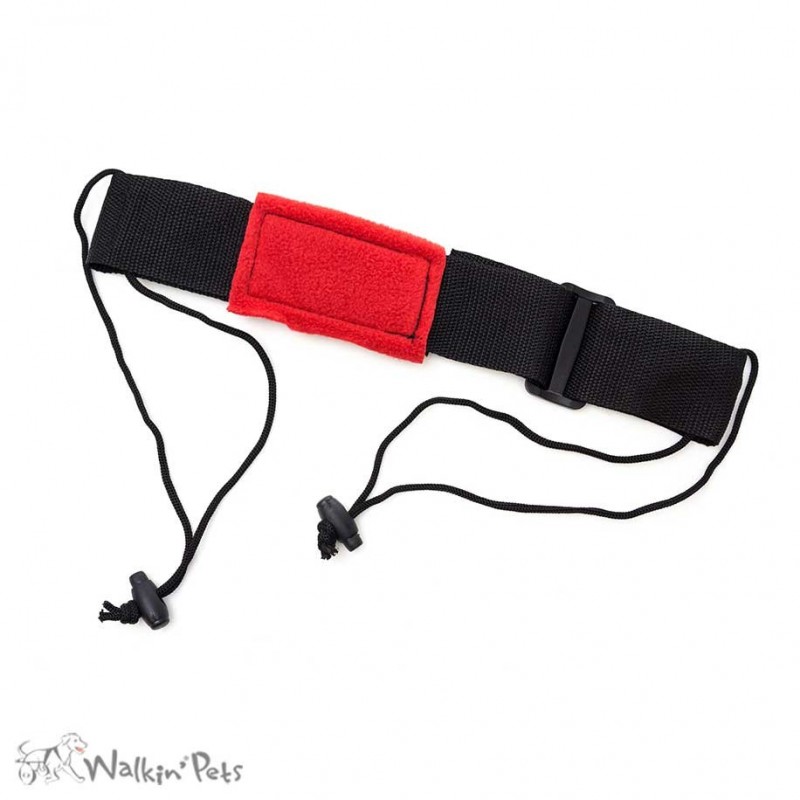 Ceinture clearance ventrale chien