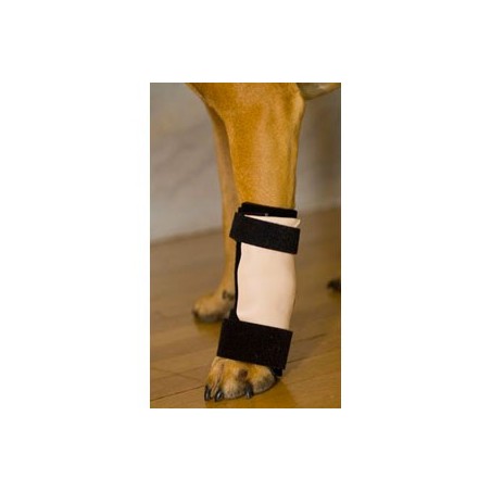 Carposplint kit : attelle pour chien immobilisante – patte avant