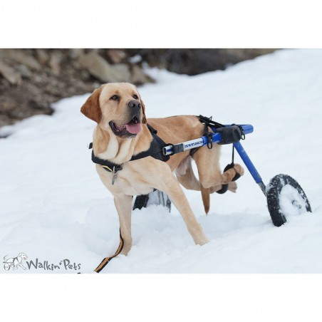 Supports de pattes arrières chariots roulant chien chats Walkin Wheels Mikan