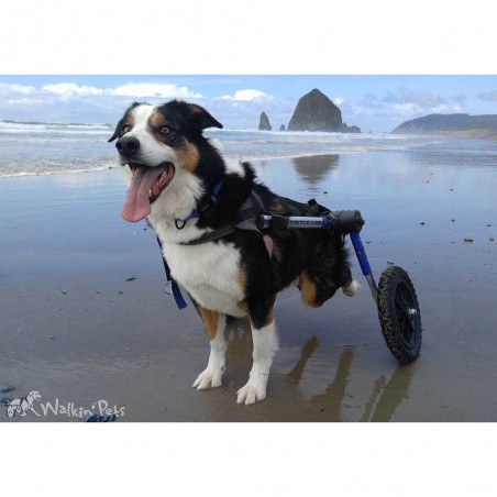 Supports de pattes arrières chariots roulant chien chats Walkin Wheels Mikan