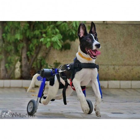 Supports de pattes arrières chariots roulant chien chats Walkin Wheels Mikan