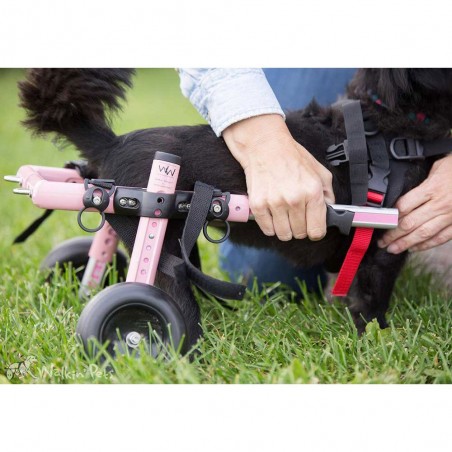 Barres extension longueur chariot roulant chat chien Walkin Wheels Barres extension longueur chariot roulant chat chien Walkin Wheels
