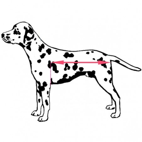 Barres extension longueur chariot roulant chat chien Walkin Wheels Barres extension longueur chariot roulant chat chien Walkin Wheels