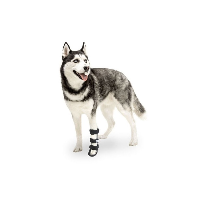 Attelle rigide walkin wheels – patte avant chien et chat