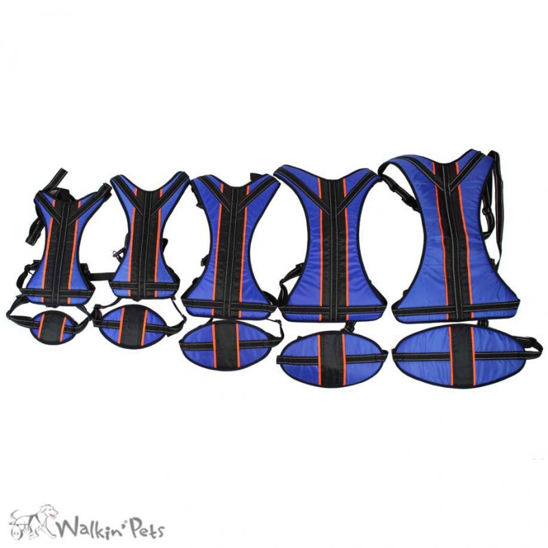 Harnais total Walkin Pets pour chien handicapé Mikan Harnais total Walkin Pets pour chien handicapé Mikan