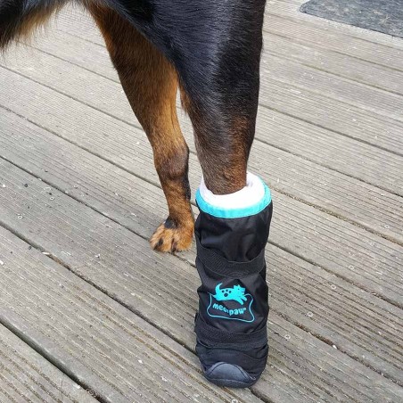 Botte chausson imperméable pour chien