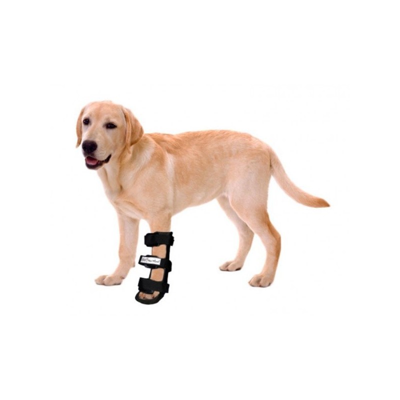 Attelle rigide walkin wheels – patte avant chien et chat