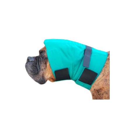 Snood pour protection des oreilles chien Mikan