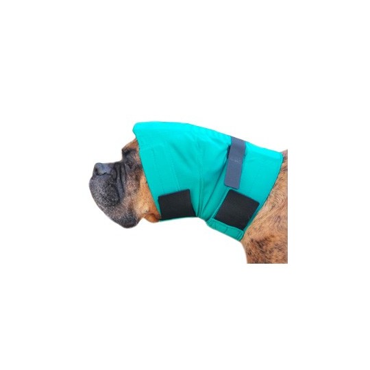 Snood une protection contre les secouements des oreilles pour chien