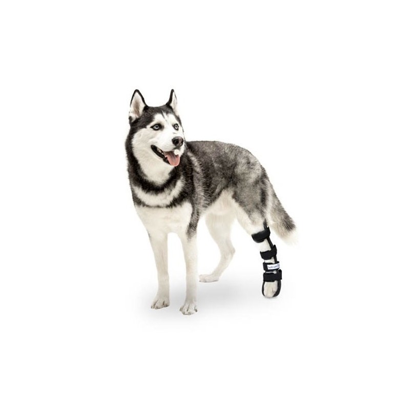 Attelle Rigide Walkin Wheels Patte Arriere Chien Et Chat Attelle Rigide Walkin Wheels Patte Arriere Chien Et Chat