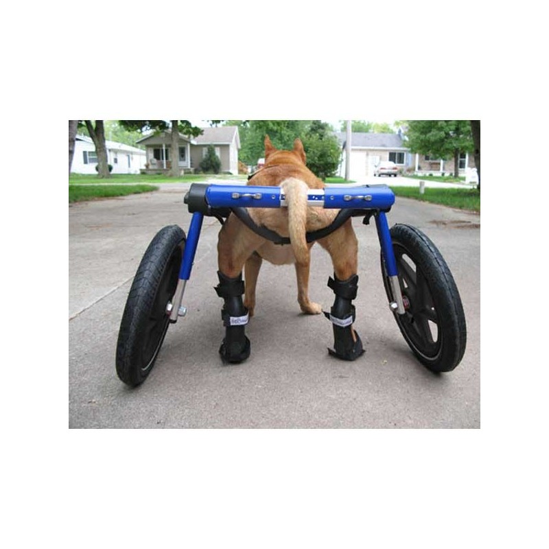 Attelle Rigide Walkin Wheels Patte Arriere Chien Et Chat Attelle Rigide Walkin Wheels Patte Arriere Chien Et Chat