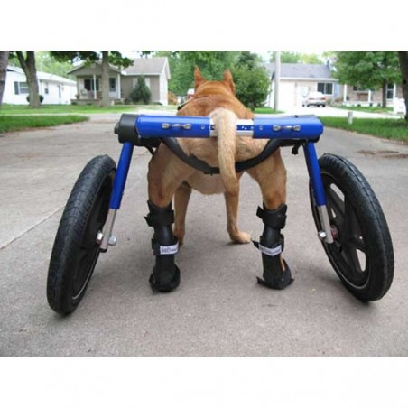 Attelle rigide walkin wheels – patte arriere chien et chat