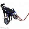 Laisse chariot roulant chien chat Walkin Pets Mikan Laisse chariot roulant chien chat Walkin Pets Mikan