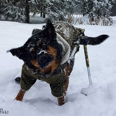 Système ski pour chariot roulant chien Walkin'Pets Mikan Système ski pour chariot roulant chien Walkin'Pets Mikan