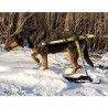 Système ski pour chariot roulant chien Walkin'Pets Mikan Système ski pour chariot roulant chien Walkin'Pets Mikan