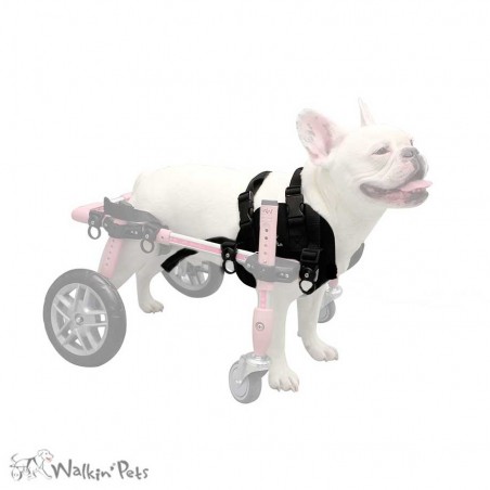 Harnais avant néoprène chien chariot roulant Walkin' Wheels mikan