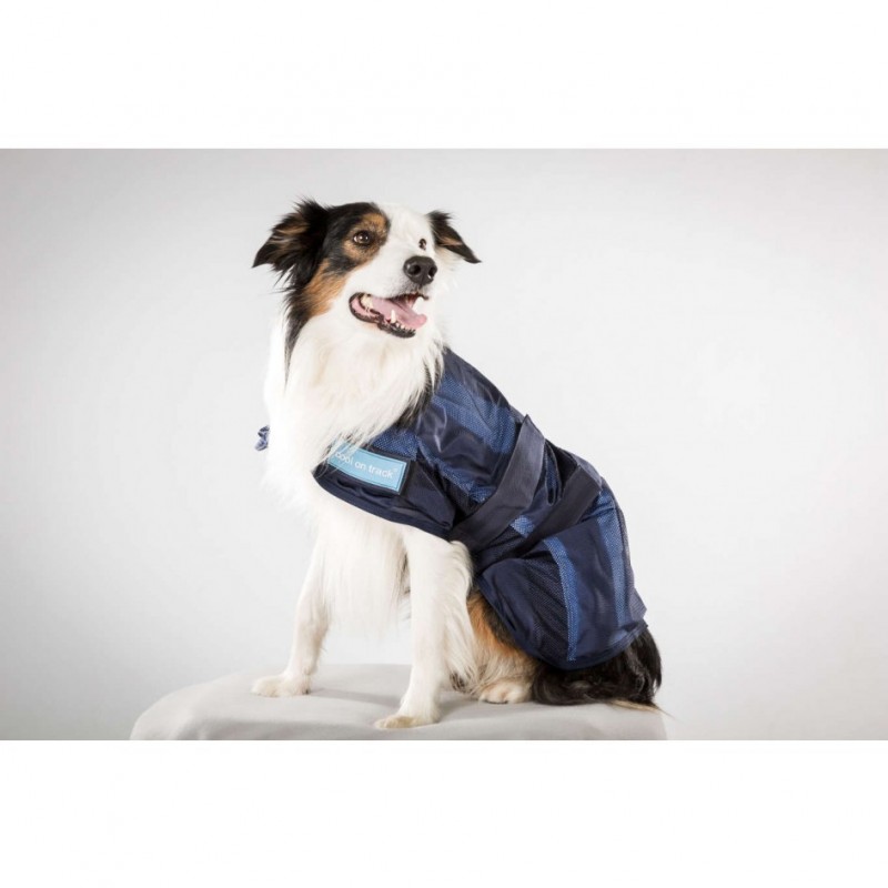 manteau chien 60 cm