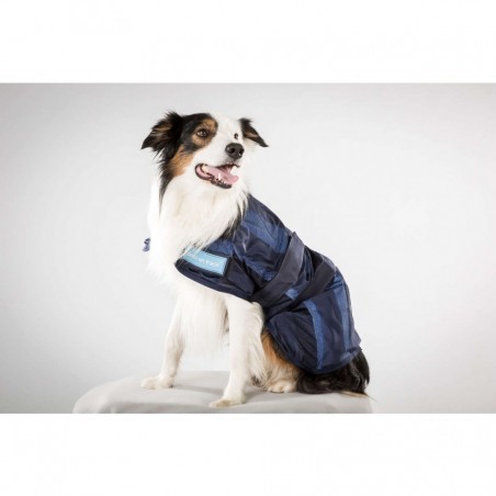 Manteau rafraichissant sales chien easidri