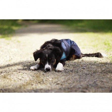 Manteau rafraîchissant pour animaux Cool On Track