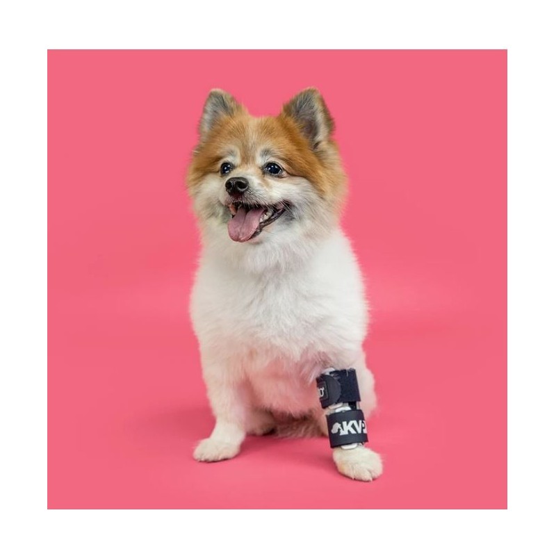 Attelle immobilisante du radius chiens et chats Balto Mikan