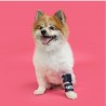 Attelle immobilisante du radius chiens et chats Balto Mikan