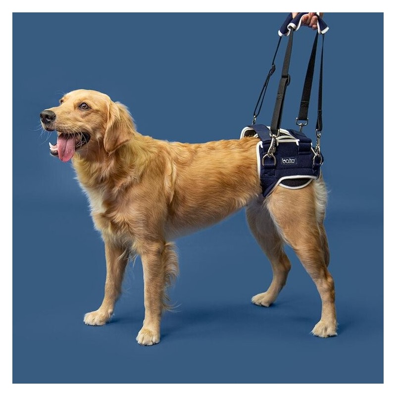 orthèse attelle de hanche pour chien et chats Balto Mikan