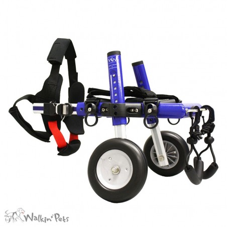chariot roulant chien chat handicapé walkin wheels Mikan