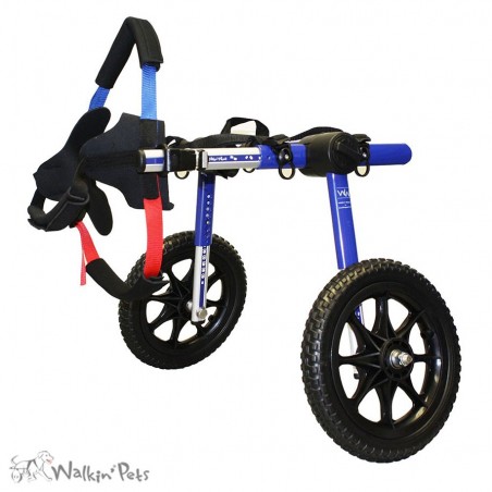 chariot roulant chien chat handicapé walkin wheels Mikan