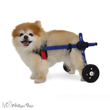 chariot roulant chien chat handicapé walkin wheels Mikan