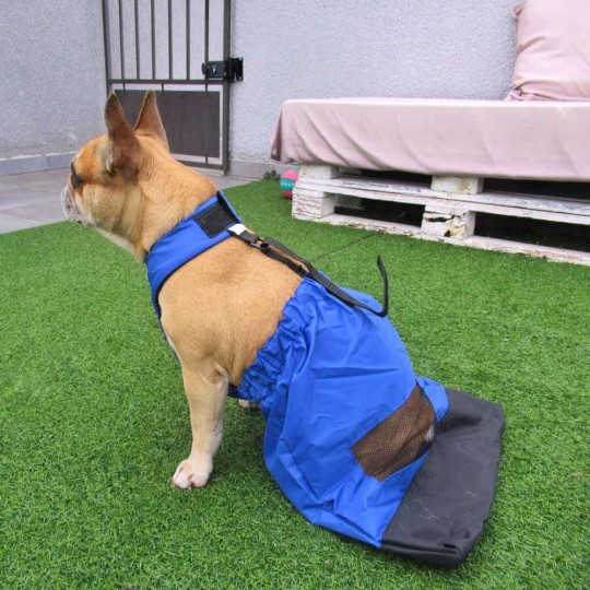 Housse anti-frottements pour chiens handicapés Mikan
