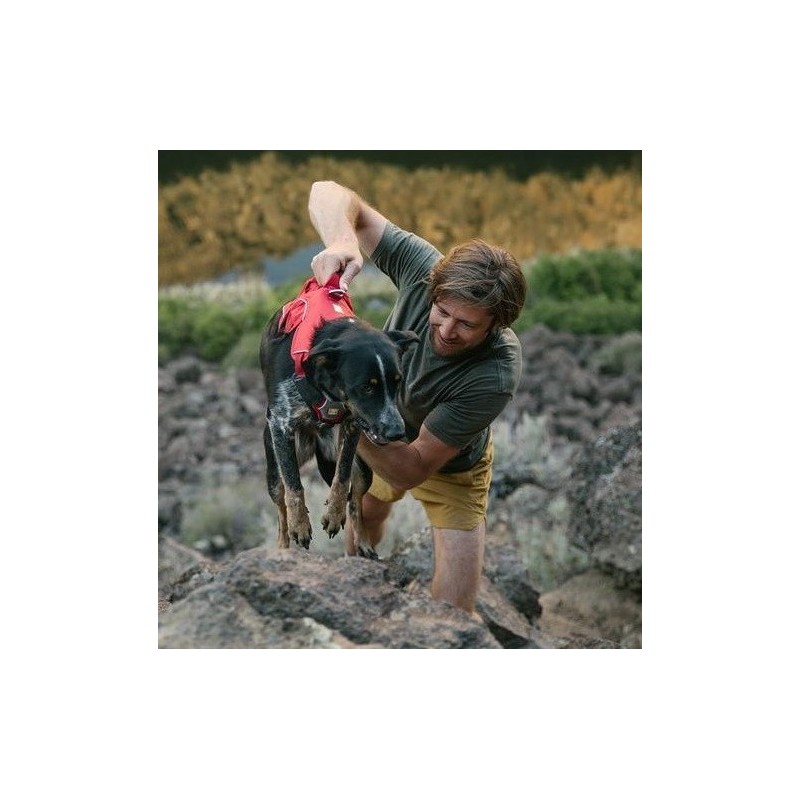 Harnais de portage premium Ruff Wear